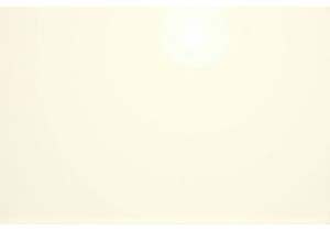 Uncover the Charm of Local Markets China in Guangzhou