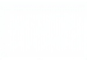 Experience the Vibrant Local Markets China Has to Offer