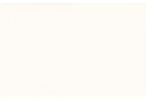 Beijing’s Secret Courtyard Cafés: Oases of Calm in a Bustling Metropolis