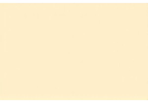 Beyond the Lanterns: Deep Cultural Encounters During Chinese New Year