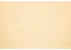 Taste of Home in Chinese Street Food Bites