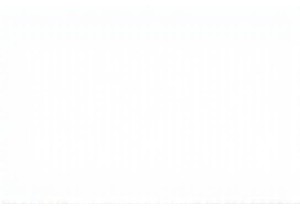 Festivals and Their Social Meaning in China