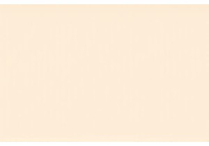 Tasting the Spirit of Chinese Street Food in Every Bite