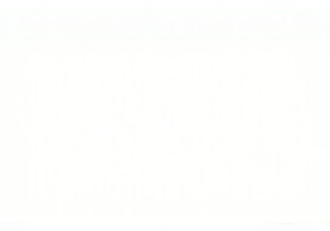 Immersed in the Local Lifestyle China and Its Vibrant Markets