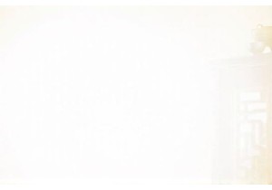 Chaozhou Tea Masters: Preserving the Gongfu Cha Tradition One Cup at a Time