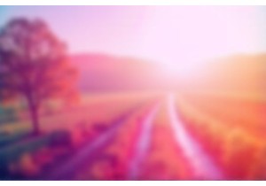 From Village to Viral: How Rural Creators Are Reshaping Online Culture