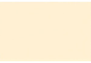 Hunan on a Stick: Exploring Spicy Street Eats and Local Pride