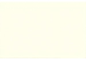 The Art of Bargaining: Surviving a Day in a Guangzhou Wet Market