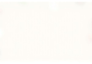 Shopping Smart at Local Markets China Tips from Locals