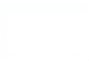 Living Like a Local in Chengdu: Markets