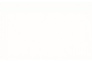 Taste Local Life in Shanghai Modern Culture Street Food Tours