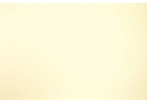 Discovering the Charm of Local Markets China Daily