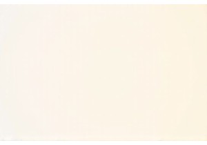 Pet Ownership and Emotional Needs in China