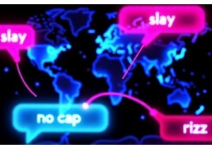 Tracking the Spread of Network流行语 Across Platforms
