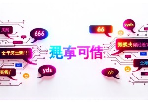 The Linguistic Rebellion: Blending Dialects and Puns in Chinese Net Speak