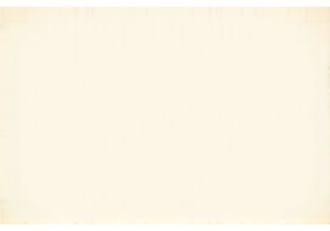 Immersed in Tea Culture China One Cup at a Time