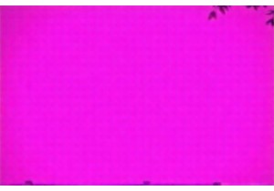 Find Peace in Beijing Small众玩法 at Quiet Temples and Parks