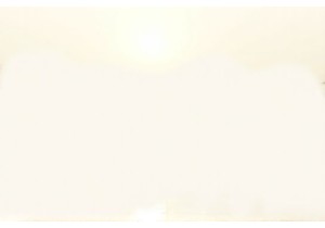 Discovering the Soul of China in Morning Wet Markets