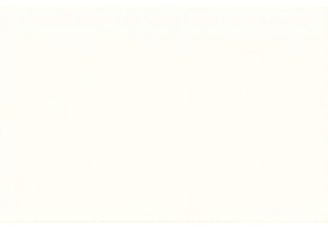 Experience Chinese Street Food and Local Market Vibes