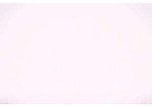 Inside a Guangzhou Wet Market: The Heartbeat of Southern Chinese Daily Life