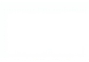 Uncover the Charm of Local Markets China and Street Eats