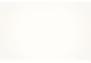 Living Like a Local Immersed in China