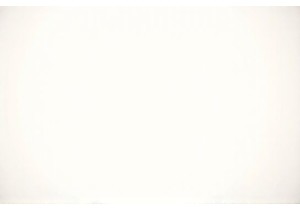 Guangzhou’s Wet Markets: A Sensory Journey Through Local Ingredients