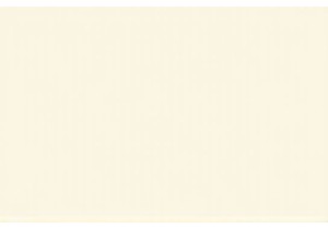 Night Bites and Neon Lights: The After-Dark Street Food Scene in Xi’an