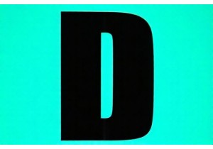 Immerse in Local Markets China and Daily Urban Life