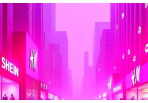 Fast Fashion and Sustainability in Chinese Markets