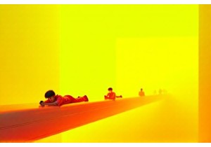 Social Phenomena China Behind the Headlines Uncovered