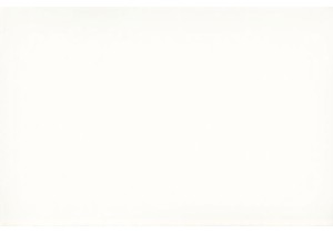 Inside a Traditional Wet Market in Guangzhou City