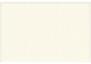 Shanghai Modern Culture Trendy Xintiandi Vibes