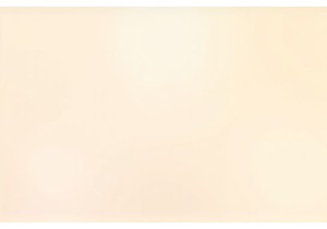 Discovering Flavors at Guangzhou Street Food Stalls