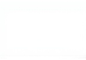 Navigating the Chaos of a Chinese Wet Market