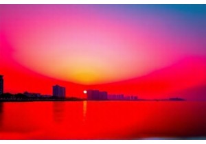 Qingdao Liveability Why This Coastal Gem Stands Out Among Chinese Cities