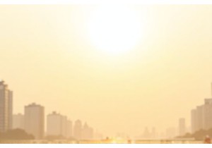 Discovering Chinese Street Food at Dawn Market Stalls