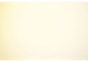 Where to Find Real Local Flavor in Shenzhen