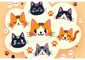 Cat Emojis