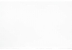 The Warmth of Winter Street Food in Harbin