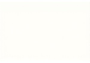 Experience the Heart of Chinese Culture at Local Markets China