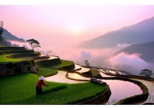 Why You Should Skip Cities and Go Rural in China