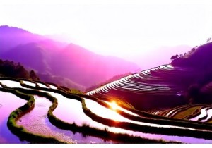 Scenic Rice Terraces Away from Main Tourist Routes