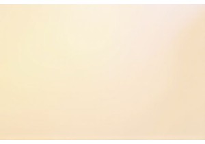 Exploring Chinese Street Food in Guangzhou Wet Markets