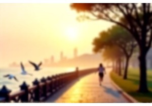 Qingdao Seaside Paths for a Peaceful Morning Walk