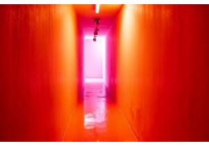 Beijing Hidden Gems at Art Galleries in Caochangdi Village