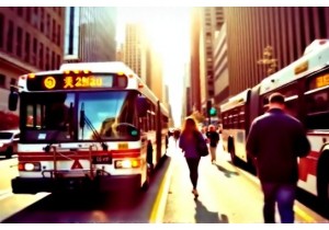Trusted CTS Bus Routes for Tourists in 2024