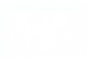 Off the Beaten Path Beijing Hidden Gems in Fengtai District