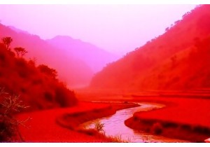 Medicinal Plant Walks with Local Healers in Gansu