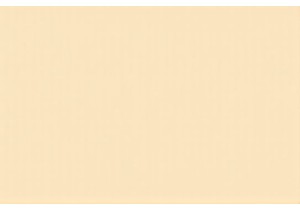 From Noodles to Buns Exploring Chinese Street Food Gems